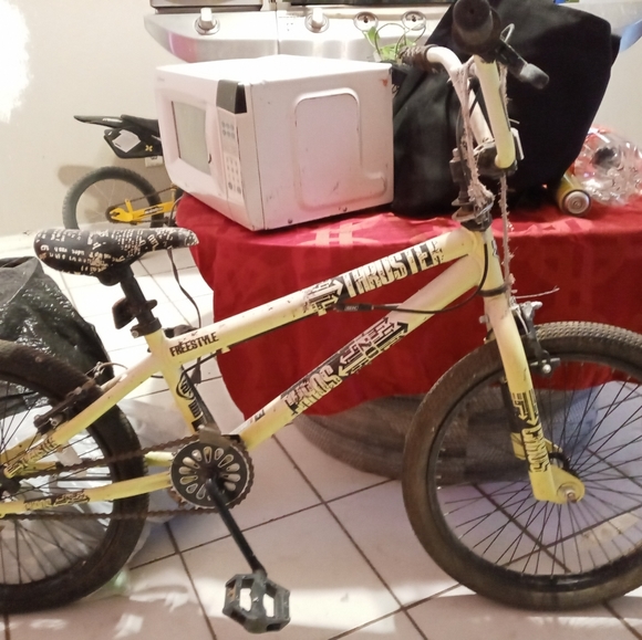 Everything - Picture 11 of 11